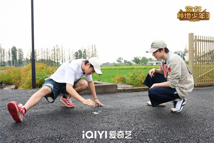 1766978628194367.jpg 5.jpg